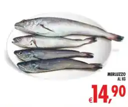 Deco Supermercati Merluzzo offerta