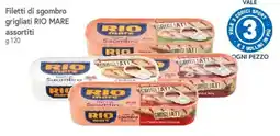 A&O Filetti di sgombro grigliati RIO mare offerta
