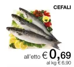 In Coop Cefali offerta