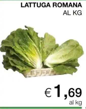 Lattuga romana