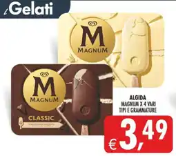 Deco Supermercati Magnum offerta