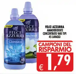Deco Maxistore Felce Azzurra ammorbidente concentrato offerta