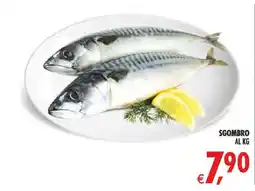 Deco Maxistore Sgombro offerta