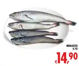 Deco Maxistore Merluzzo offerta
