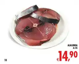 Deco Maxistore Alalunga offerta