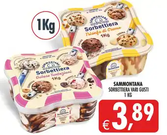 Sammontana Sorbettiera vari gusti