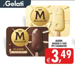 Deco Maxistore Magnum classic offerta