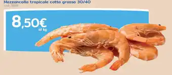 Mazzancolla tropicale cotta grossa