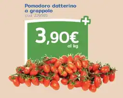 C+C Italmarket Pomodoro datterino a grappolo offerta