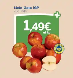 C+C Italmarket Mele Gala IGP offerta