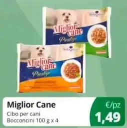 Prodet Miglior Cane Cibo per cani Bocconcini offerta