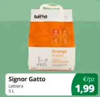 Signor Gatto Lettiera