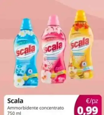 Scala Ammorbidente concentrato