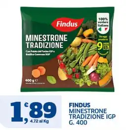 Il Punto Sigma Findus Minestrone Tradizione offerta