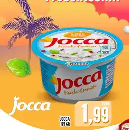 Al Discount Jocca Fiocchi Cremosi offerta