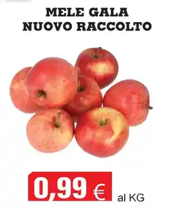 Centro frutta Mele gala nuovo raccolto offerta