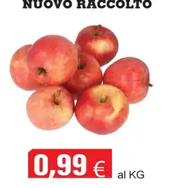 Centro frutta Mele offerta