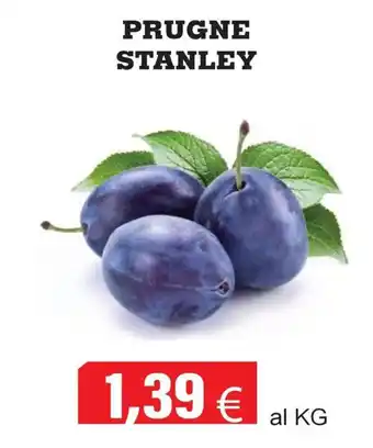 Prugne Stanley