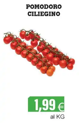 Centro frutta Pomodoro ciliegino offerta