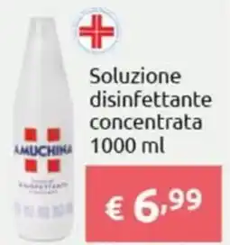 Smoll Soluzione disinfettante concentrata Amuchina offerta