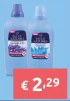 Smoll Juice Azalea offerta