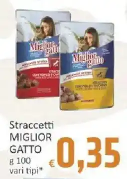 Paghi Poco Straccetti Miglior Gatto offerta