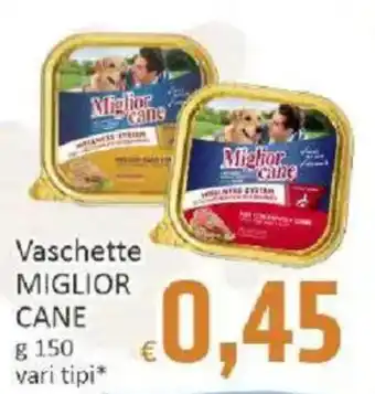 Paghi Poco Vaschette Miglior Cane offerta
