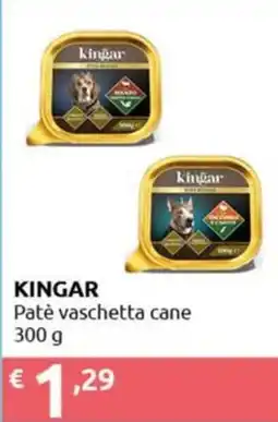 Smoll Kingar Patè vaschetta cane offerta