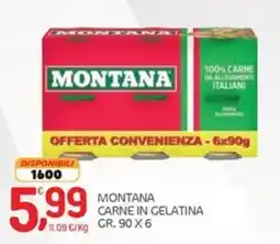 Carni e Affini Supermercati Montana carne in gelatina offerta