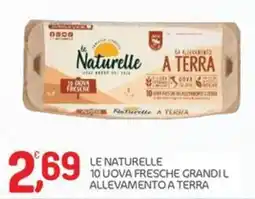Carni e Affini Supermercati Le Naturelle 10 uova fresche grandi l'allevamento a terra offerta