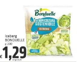 Paghi Poco Iceberg Bonduelle offerta