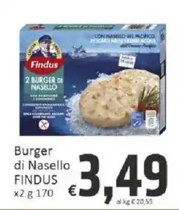 Paghi Poco Burger di Nasello Findus offerta