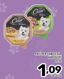 Il Centesimo Paté per cani Cesar offerta