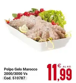 Centro Cash Polpo Gelo Marocco offerta