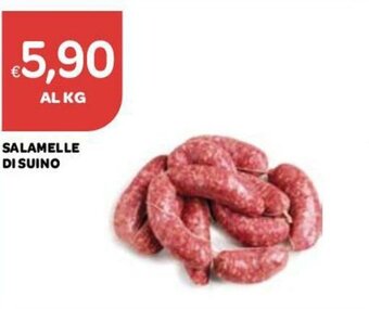 Ekom Salamelle di Suino offerta