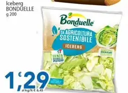 Sidis Iceberg Bonduelle offerta