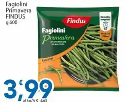 Sidis Fagiolini Primavera Findus offerta