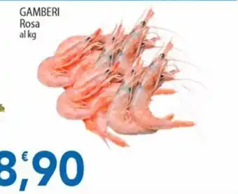 Gamberi Rosa
