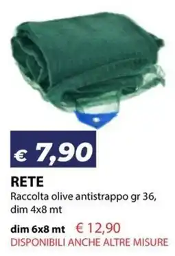 Bricocasa Rete raccolta olive antistrappo offerta