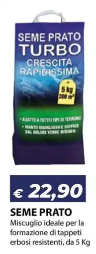Bricocasa Seme Prato Turbo offerta