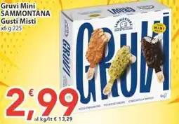 Sidis Gruvi Mini Sammontana offerta