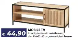 Bricocasa Mobile TV offerta