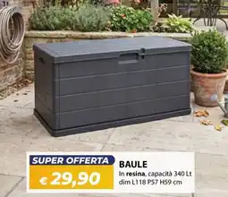 Bricocasa Baule offerta