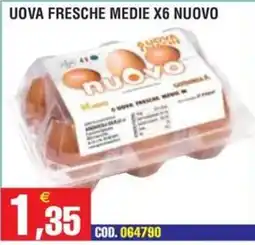 Immenso Cash Uova fresche medie Nuovo offerta