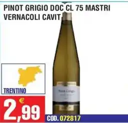 Immenso Cash Pinot Grigio Doc Mastri Vernacoli Cavit offerta