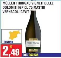 Immenso Cash Müller Thurgau vigneti delle Dolomiti IGP offerta