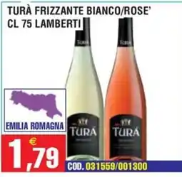 Immenso Cash Tura frizzante bianco/rose' offerta