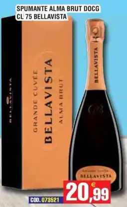 Immenso Cash Spumante Alma Brut Docg Bellavista offerta