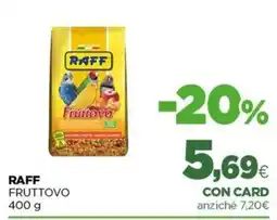 L´Isola dei Tesori Raff fruttovo offerta