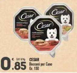 Punto é market Cesar Bocconi per Cane offerta
